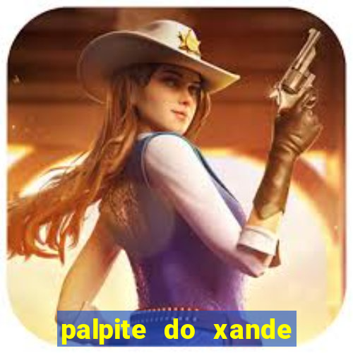 palpite do xande para hoje